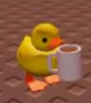 The ducky group <3