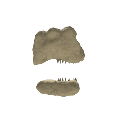Dinosaur Skull