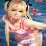 venus vacation