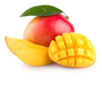 Mango~Vibes