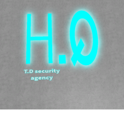 T.D. Inc. Security Agency H.Q