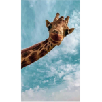 Aesthetieemma