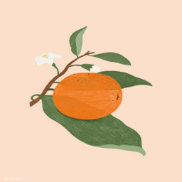 Aesthetic Oranges