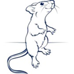 ~The Brainless Rats Group~