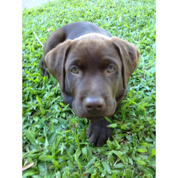 free ugc  (dont move)