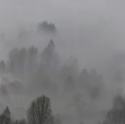 Scary Fog
