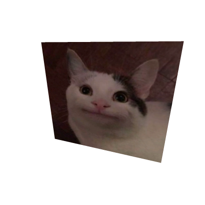 cat pfp