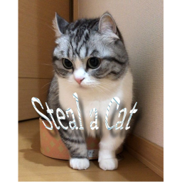 [NEW] Steal a Cat