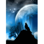 THE FURIOUS WOLVES FANG