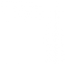 ＊