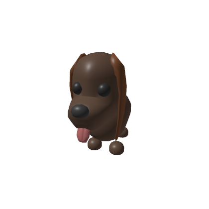 German Spaniel Puppy