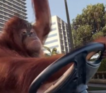 Fancy Monke group