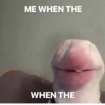 walter the dog very funi lol