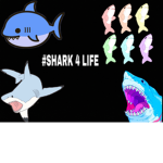 #Da sharks