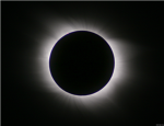 Black Hal0