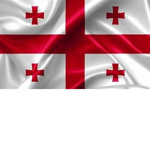 The Georgia Military