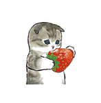 Cats berry official group