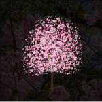 Sakura Bloom Cafe