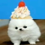 candiland ~ ୨୧