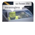 Some guys community