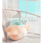 adore folwers