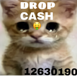 DROP CASH