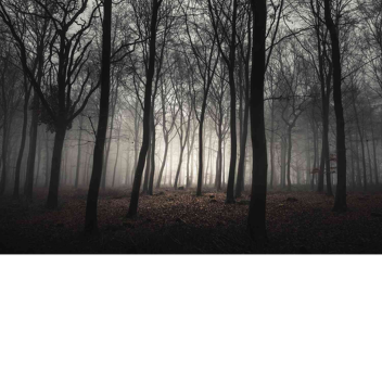 scary forest