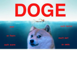 Doge is the cool