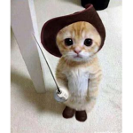 Catgamer7645Freind fan group
