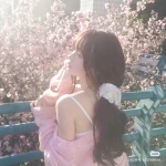 lilly lullaby Group Thumbnail