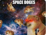 doge furry hunters