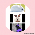 E&M Bunnies