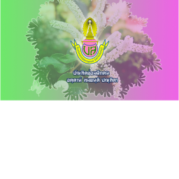 Kuy2322