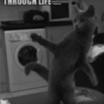 DFGPxrge