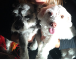 team lily jake and nickster