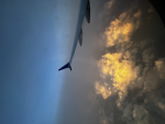 SRIPTING