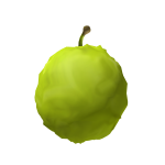 Guava Head