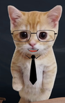 KittyKATkute