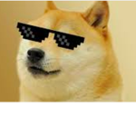 Doge/Shiba inu Group Fans