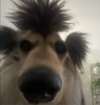 H_e_i