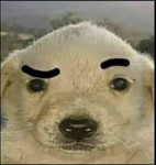 Dacr_5
