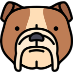 Big Dogs Studio