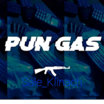 RobloxPro Gamer