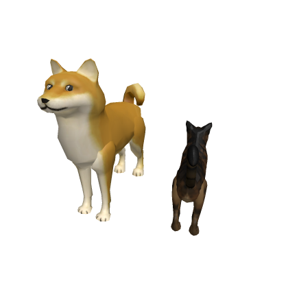 Dog & Cat Npc