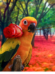Bird and parrot group