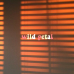 wild petal