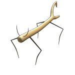 Shiny Stick Bug