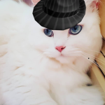 Sir TimTom Studios