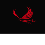 Eagle riders