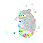 Stairways Void Chomik